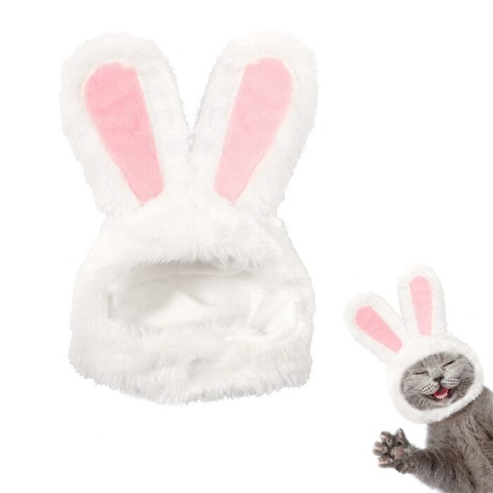 Bunny Rabbit Hat with Ears