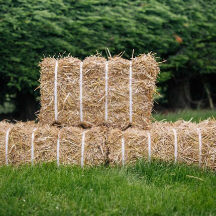 Baled Straw Bales