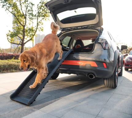 ramps for cars for dogs