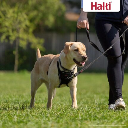 Halti No Pull Dog Harness Black