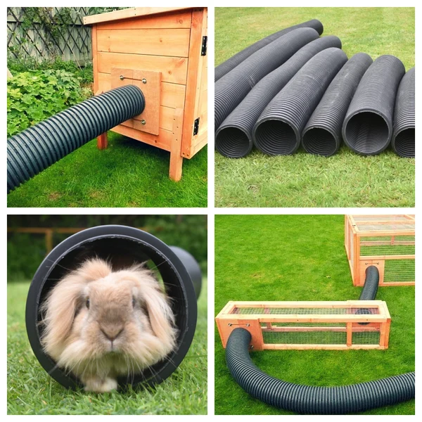 Rabbit Playground