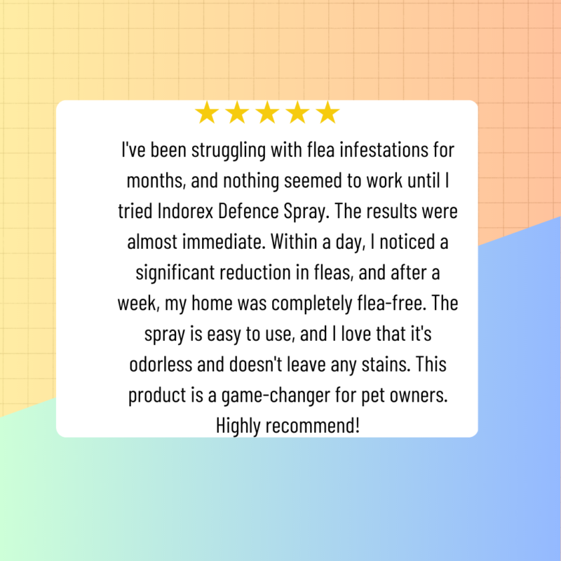 Yellow Modern Testimonial Review Instagram Post