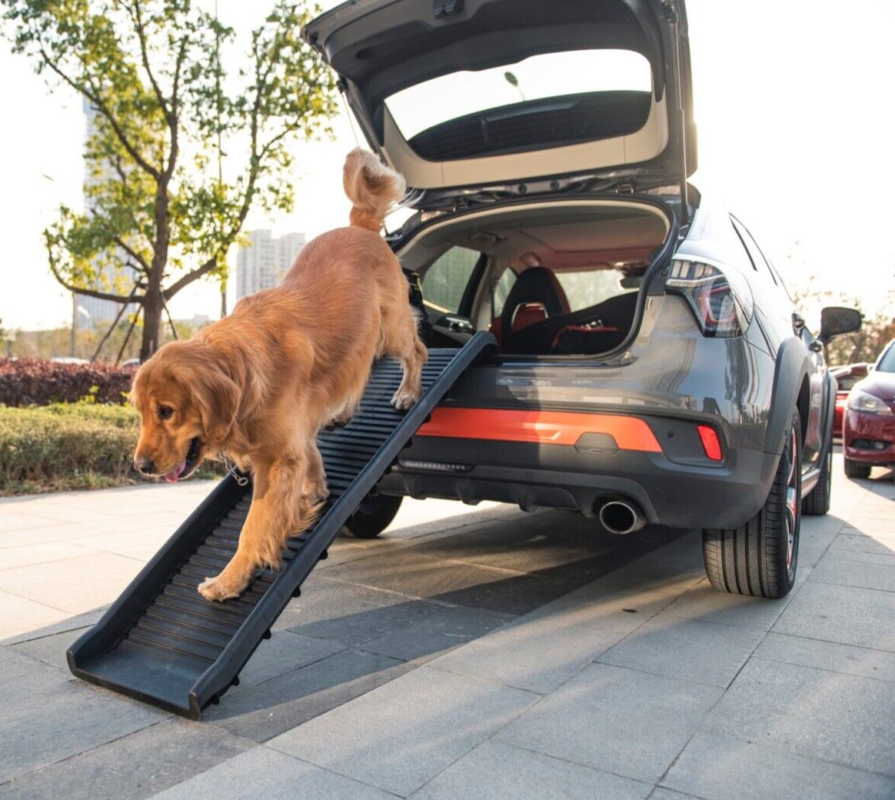 Car Ramps for Dogs