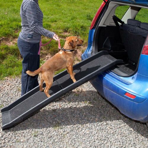 Car Ramps for Dogs