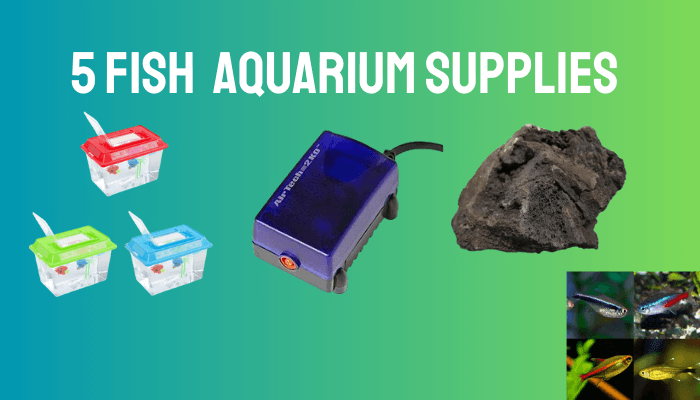 FISH Aquarium Supplies