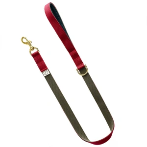 Luxury Handmade Dual-Colour Webbing Dog Lead