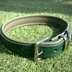 Padded Leather Dog Collar