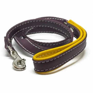 Soft Leather Dog Lead with Padded Handle